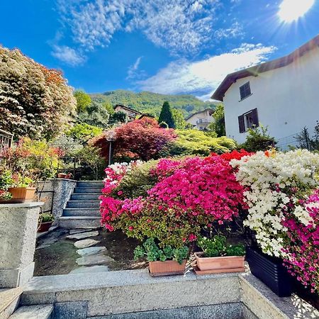 Eden Sul Lago Di Como Nesso Eksteriør billede