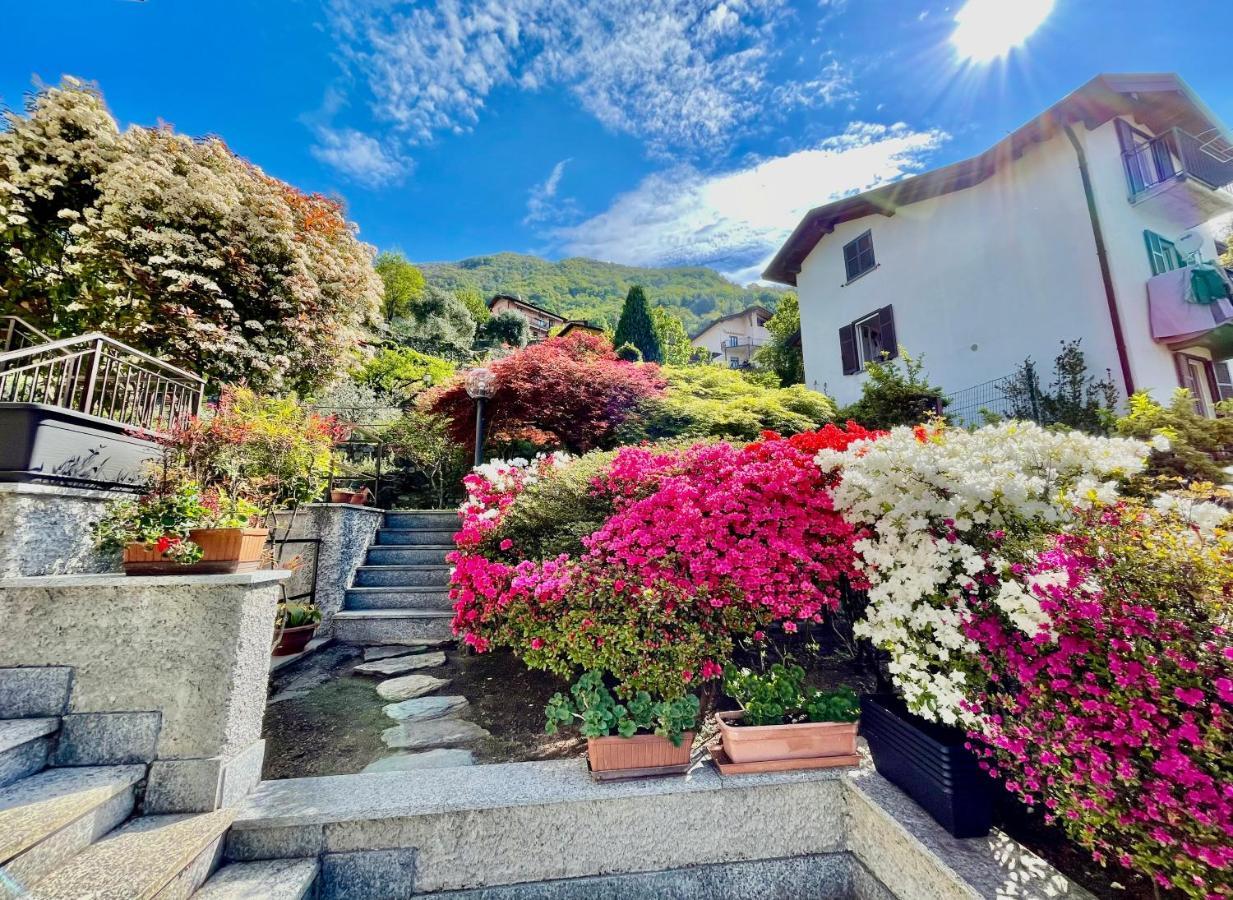 Eden Sul Lago Di Como Nesso Eksteriør billede