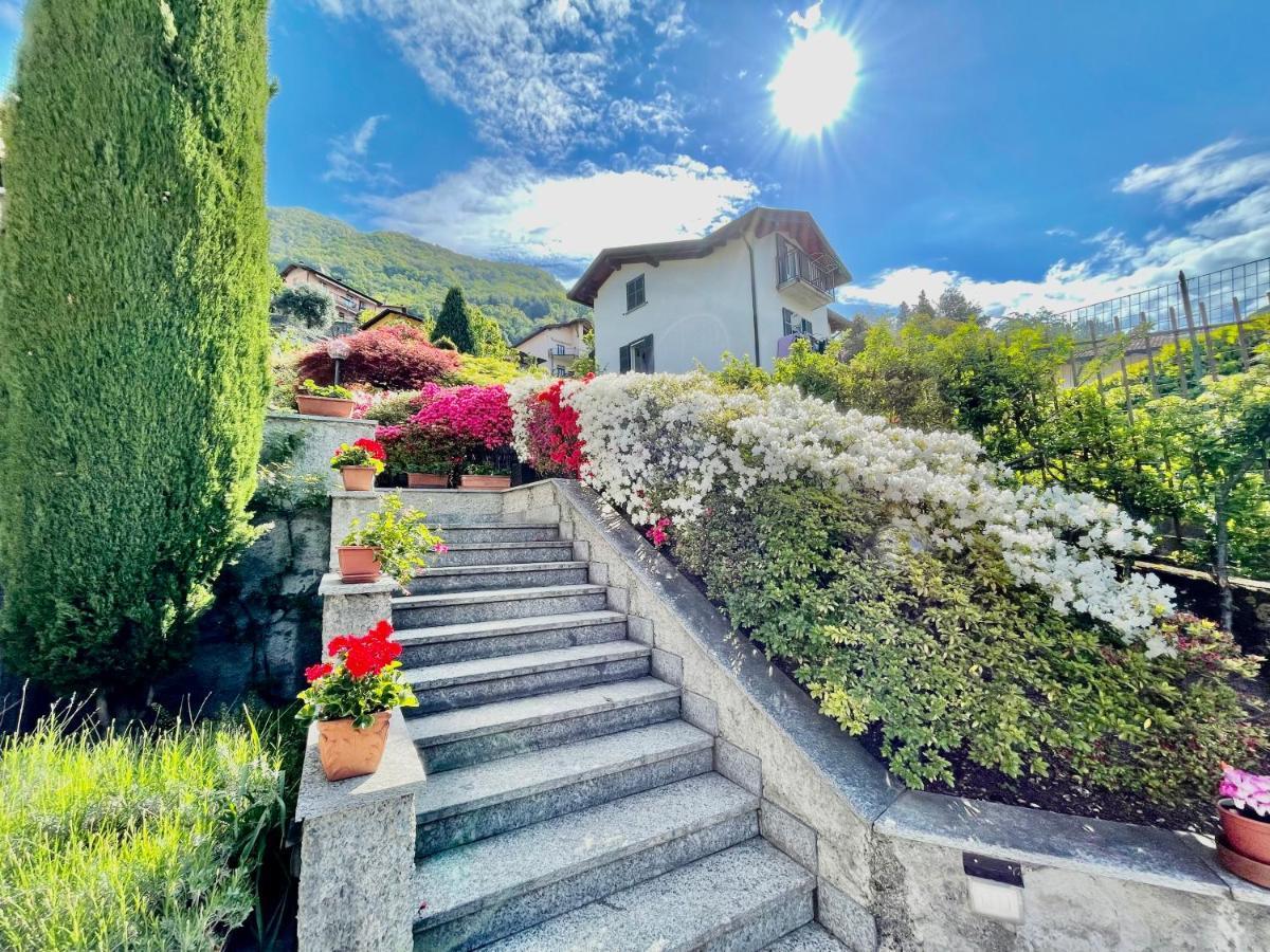Eden Sul Lago Di Como Nesso Eksteriør billede